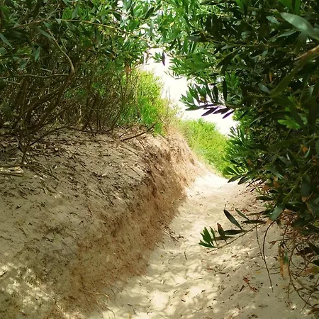 Beachside House Ferienhaus *